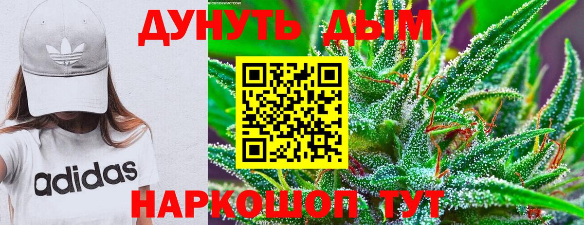 Бошки Шишки SATIVA & INDICA  МАРИХУАНА планчик  Строитель  Вход с VPN 